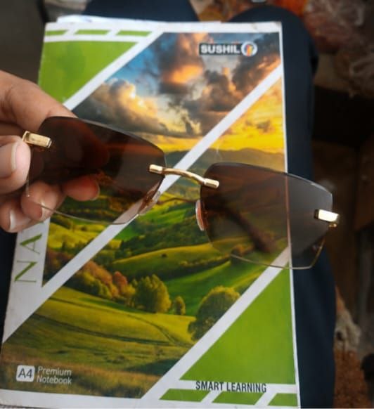 Golden Beast Sunglasses